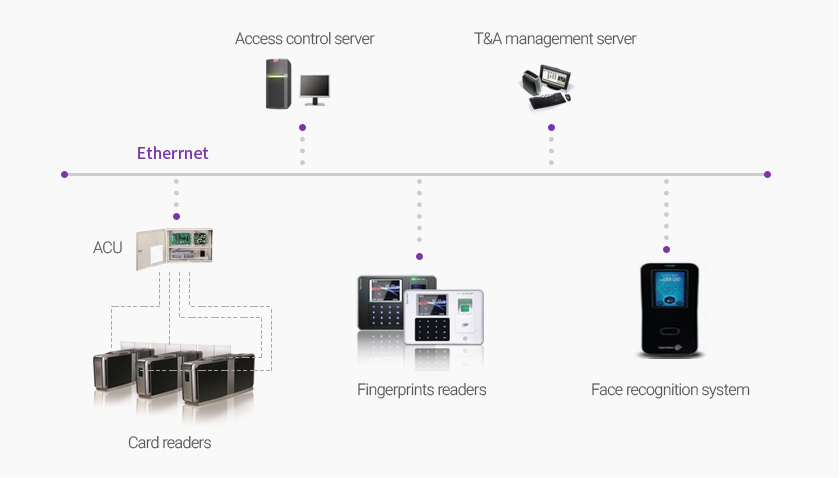 Time & Attendance management